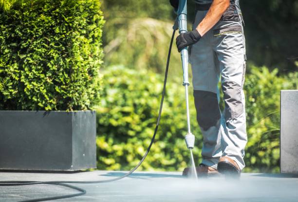 Best Fence Cleaning  in Jackson, MI
