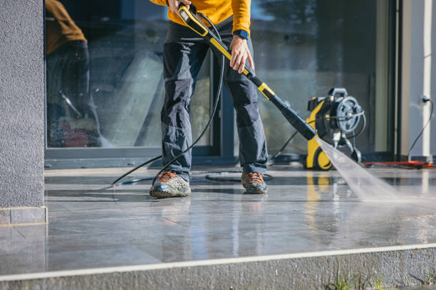 Best Roof Washing  in Jackson, MI
